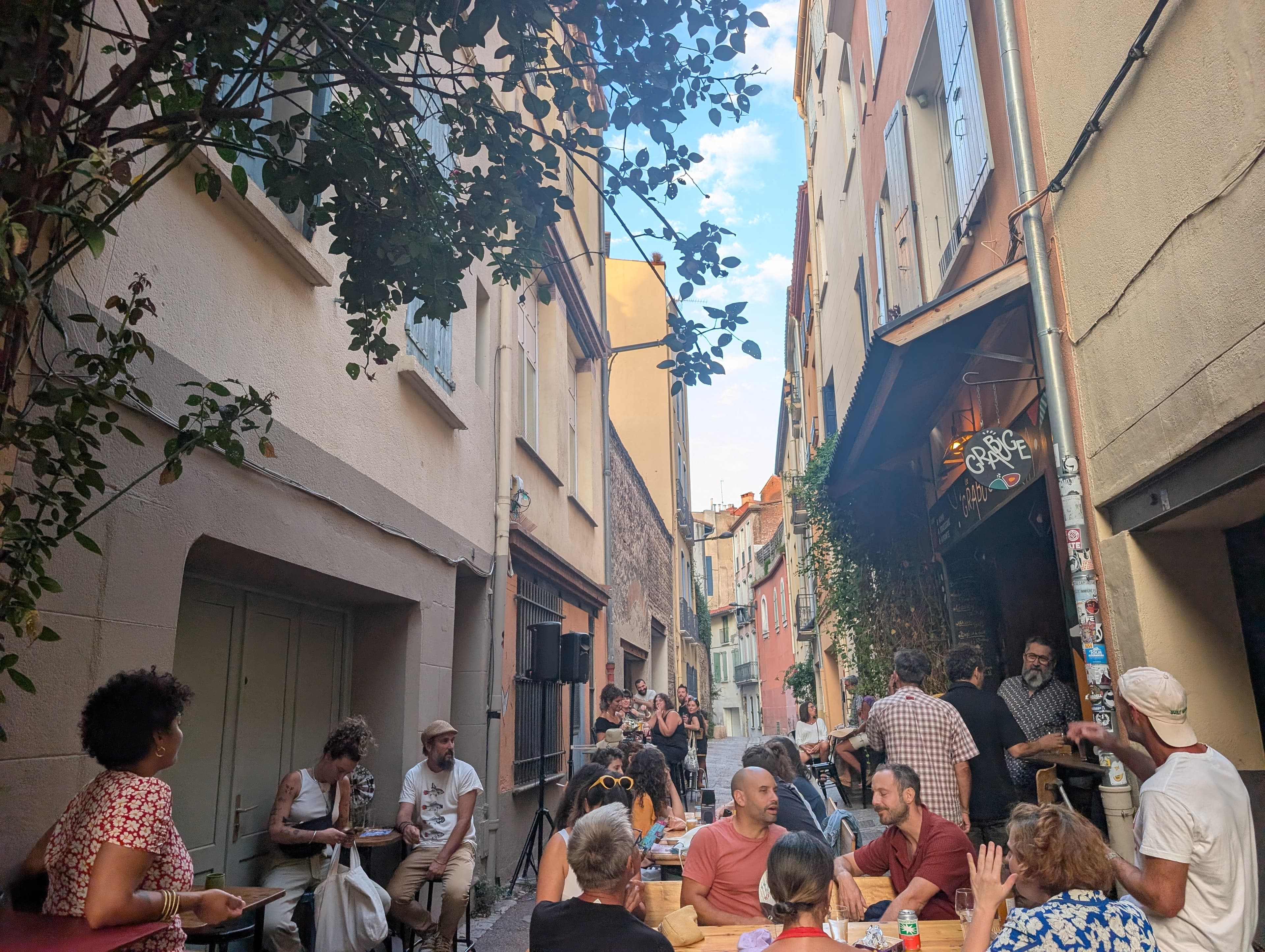 La terrasse du Grabuge sous le rosier grimpant